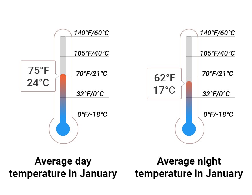 What to do in January in Miami, Florida 2025 Winter Sun Expert